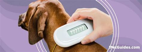 hiw tonscan rfid chip dog|pet microchip scan with phone.